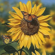 Схема вышивки «№2020230»