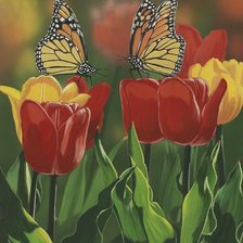 Схема вышивки «№2020231»