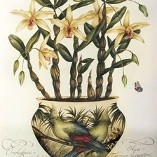 Схема вышивки «ORCHIDS»