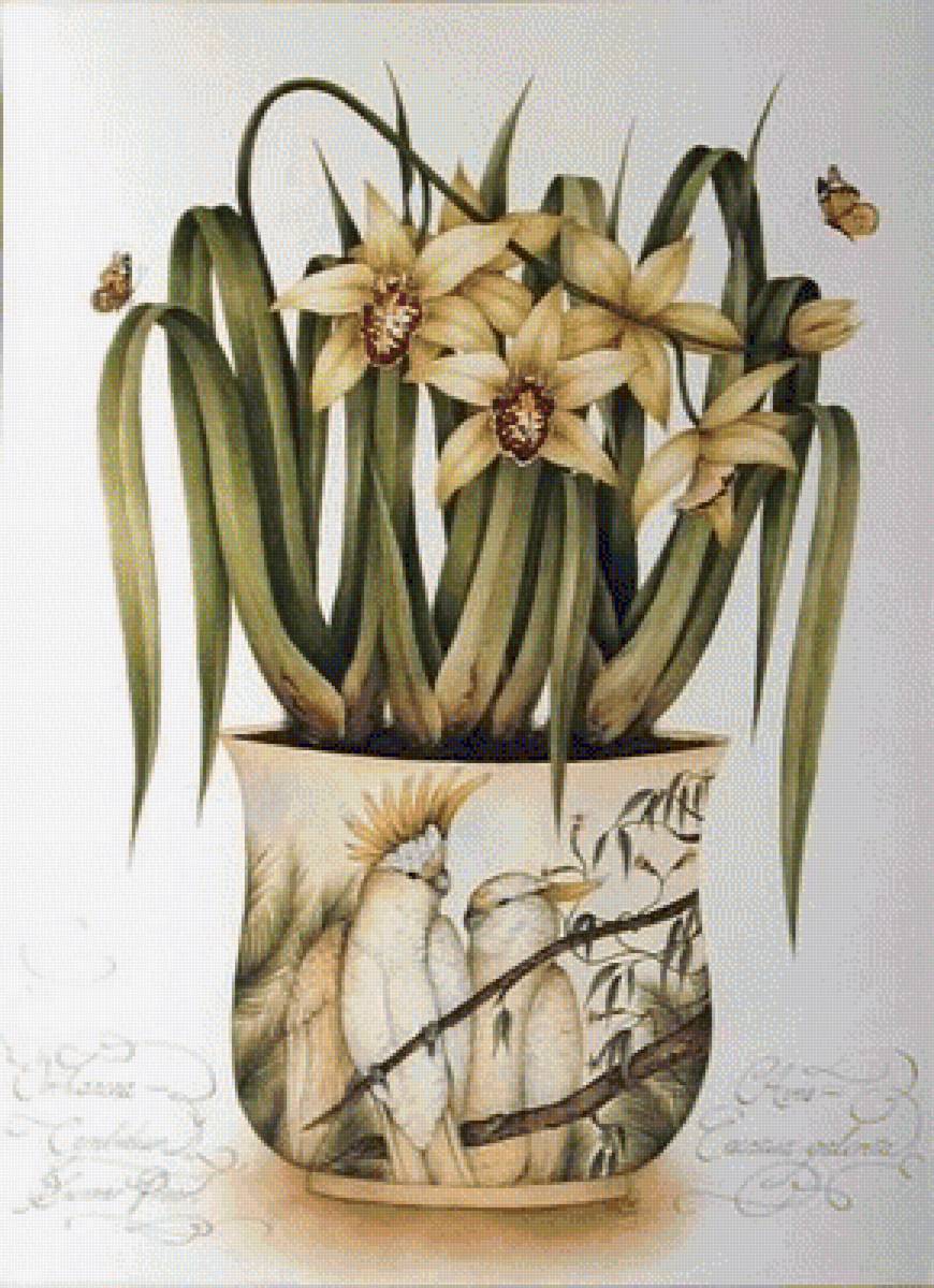 ORCHIDS - орхидея - предпросмотр