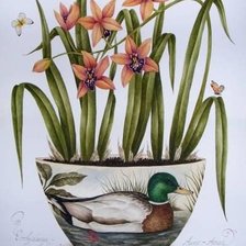 Схема вышивки «ORCHIDS»