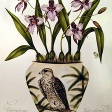 Схема вышивки «ORCHIDS»