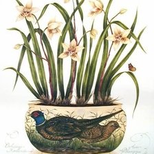 Схема вышивки «ORCHIDS»