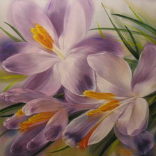 Схема вышивки «Крокусы»