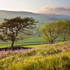 Схема вышивки «№2020789»