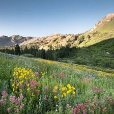 Схема вышивки «№2020806»