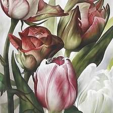 Схема вышивки «№2020838»