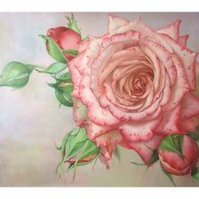 Схема вышивки «Роза.»