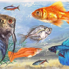 Схема вышивки «Подводный мирок.»