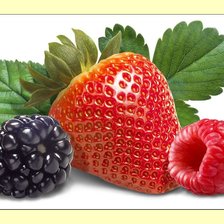 Схема вышивки «№2021075»