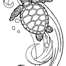 Схема вышивки «Черепаха на волне»