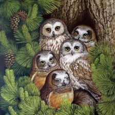 Схема вышивки «Мир птиц»