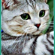 Схема вышивки «Грустно»