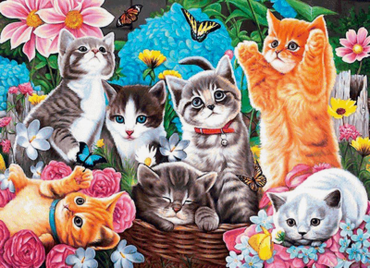 котята - цветы, котята - предпросмотр