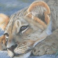 Схема вышивки «дикие»