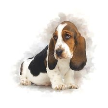 Схема вышивки «собака»