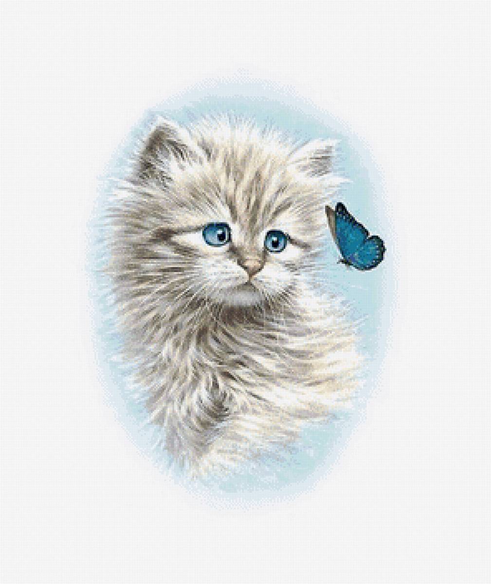 котёнок - предпросмотр