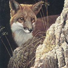 Схема вышивки «№2021888»