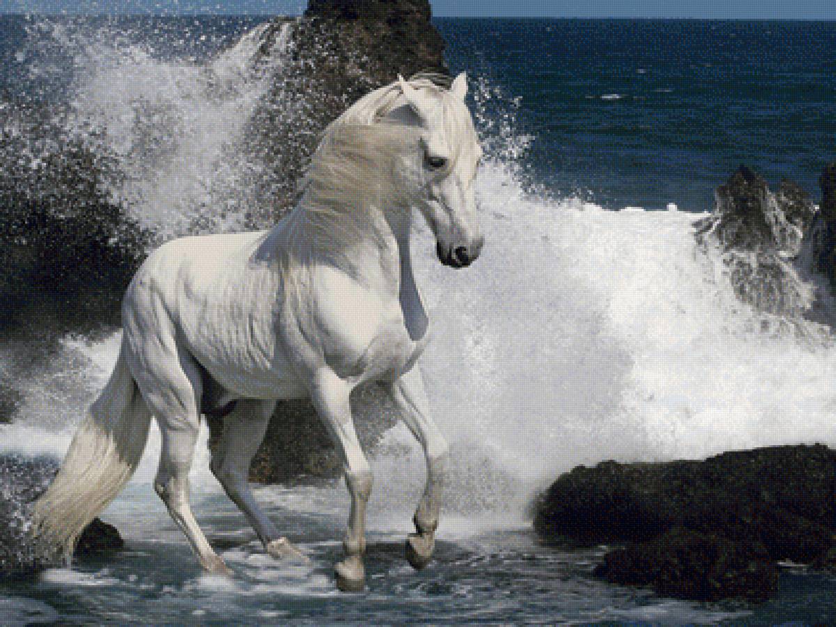 Мир животных - предпросмотр