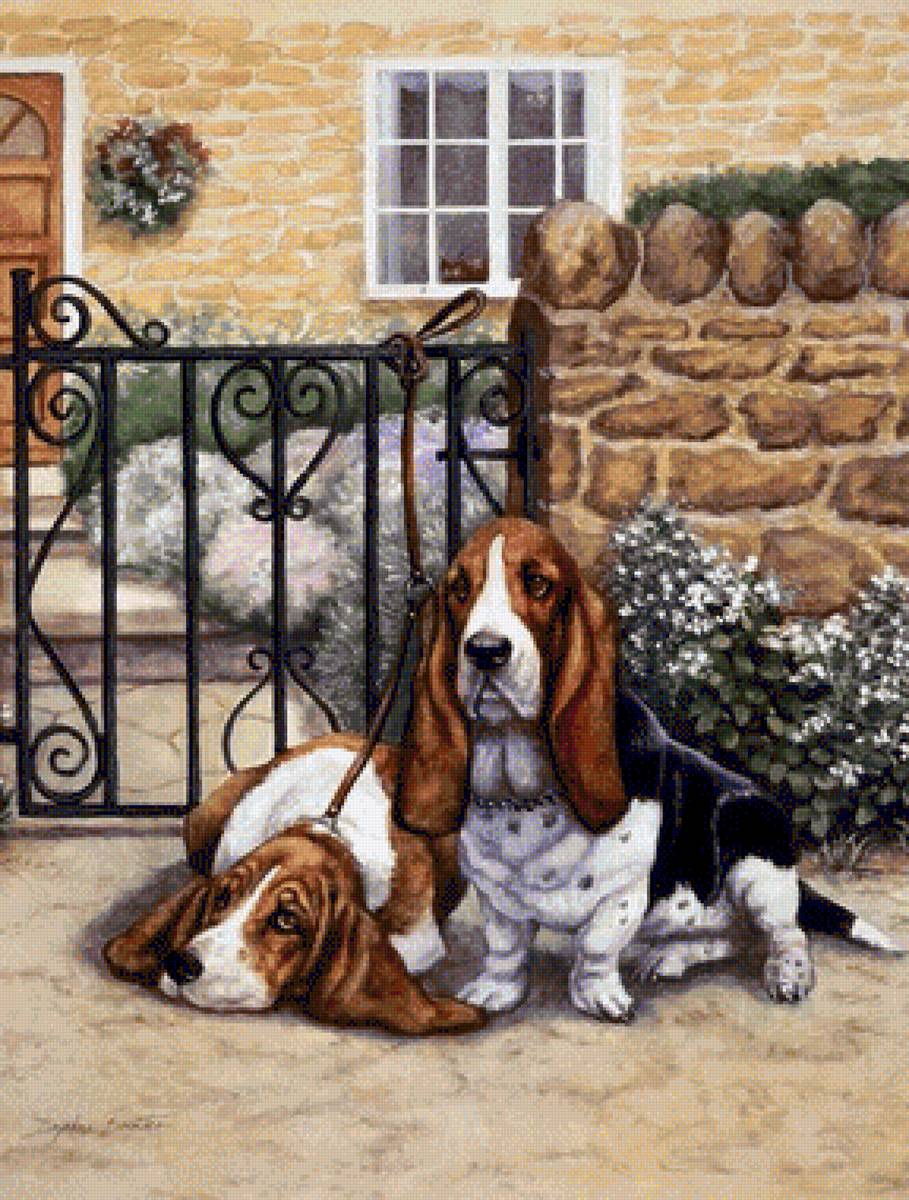 собаки - собака - предпросмотр