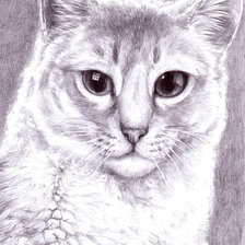 Схема вышивки «Серый котенок»