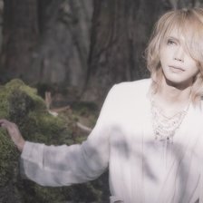 Схема вышивки «Shinya»