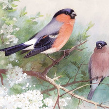 Схема вышивки «Худ. Арчи Тёрберн»