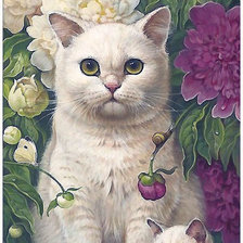 Кошка-сфинкс с котёнком