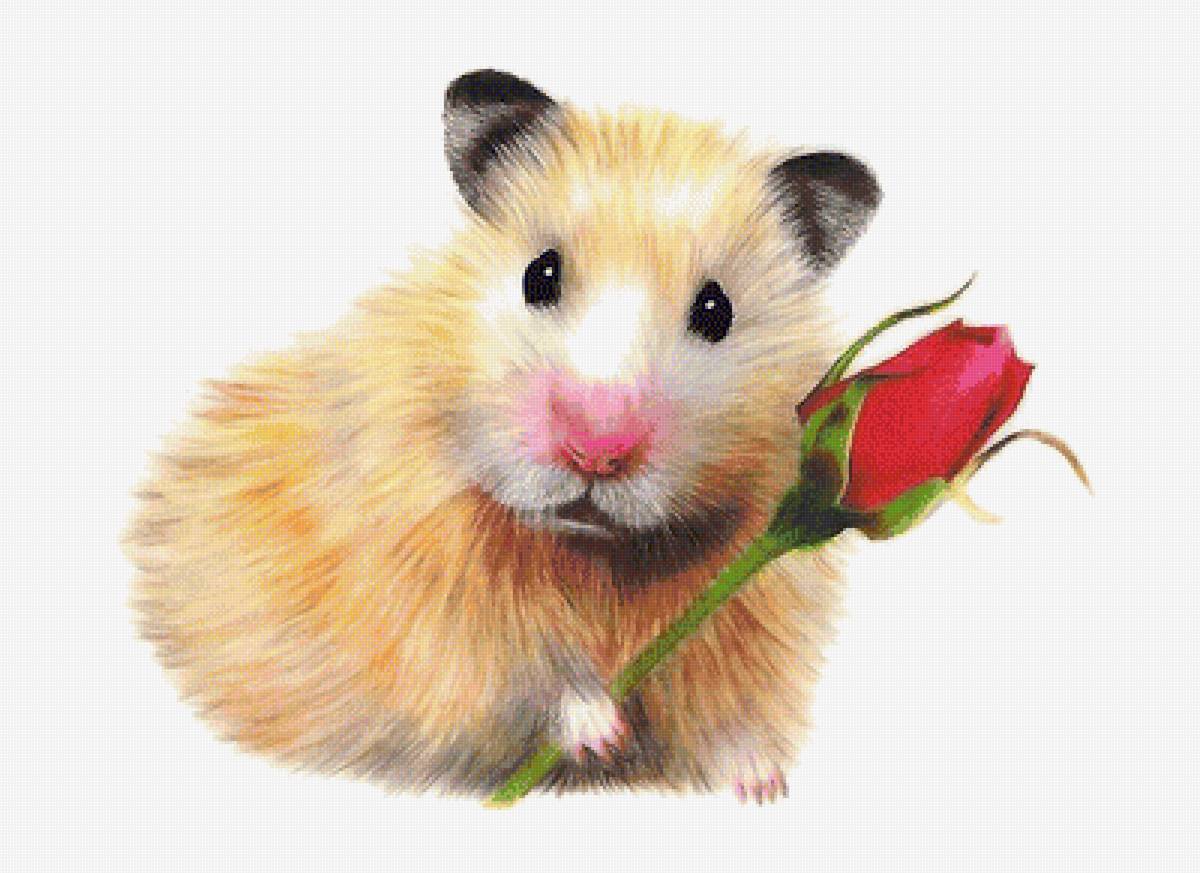 №2022843 - предпросмотр