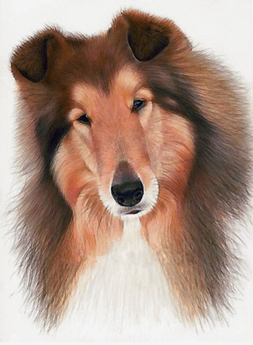 №2022848 - предпросмотр