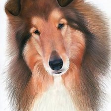 Схема вышивки «№2022848»