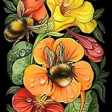 Схема вышивки «Настурция и шмели»