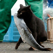 Схема вышивки «Воришка»