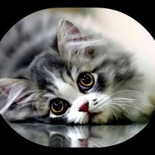 Схема вышивки «Киса»