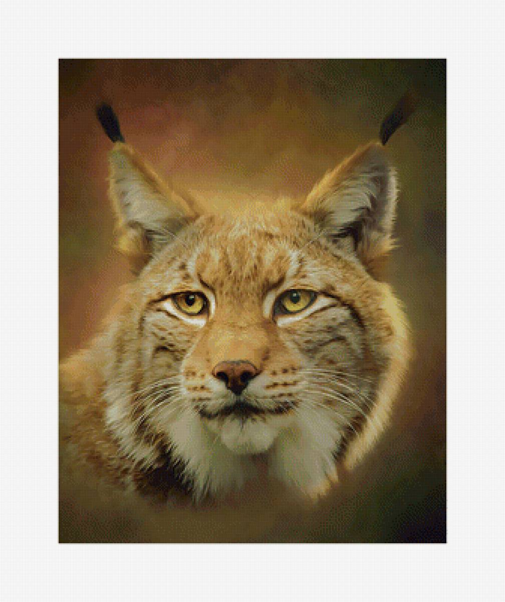 Рысь. - живопись, хищник, животные, рысь - предпросмотр