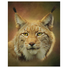 Схема вышивки «Рысь.»