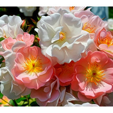 Схема вышивки «Цветы.»