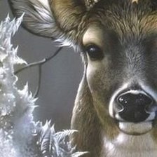 Схема вышивки «Szarvas»