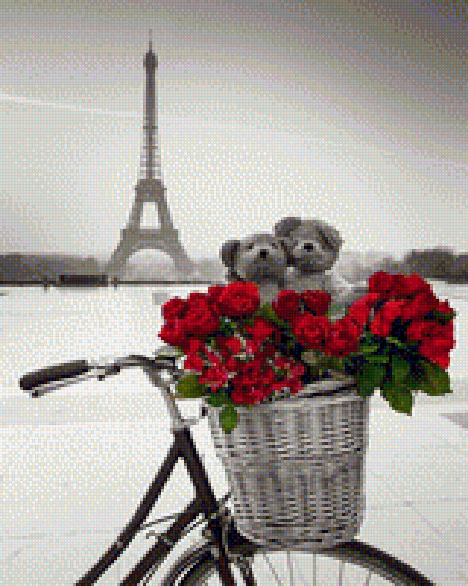 Париж - любовь, медведи - предпросмотр