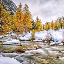 Схема вышивки «№2023350»