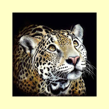 Схема вышивки «Взгляд. 310/309 крестов.»