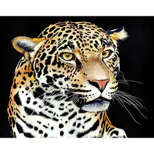 Схема вышивки «Лео. 330/259 крестов.»