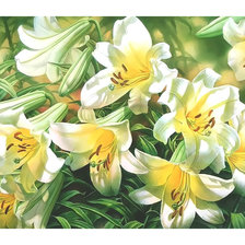 Схема вышивки «Белые лилии.»