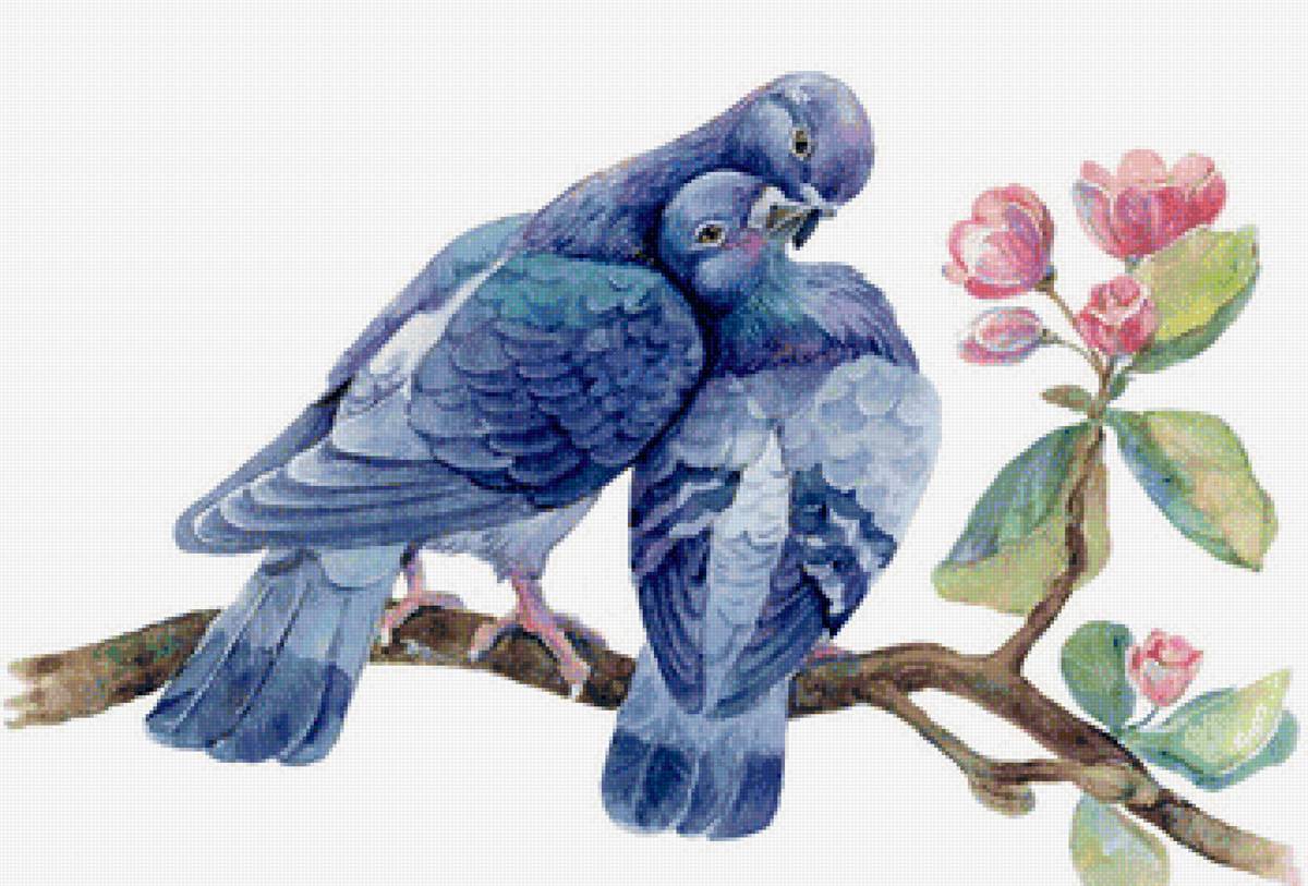 Влюблённые голубки - юлия куряева, любовь, голуби - предпросмотр