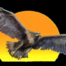 Схема вышивки «Орел»