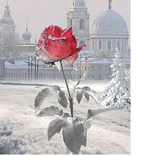 Схема вышивки «№2023517»