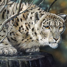 Схема вышивки «Леопард»