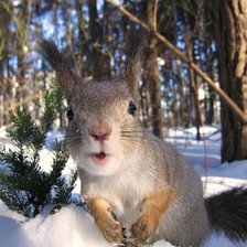 Схема вышивки «Привет!!!»