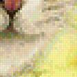 Предпросмотр схемы вышивки «кот в цветах» (№2023750)