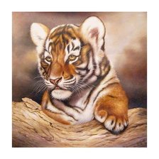 Схема вышивки «№2023796»